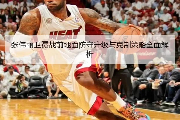 张伟丽卫冕战前地面防守升级与克制策略全面解析
